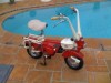 1974 Motograzialla Motociclo Image 4