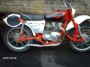 Picture of Triumph Trophy/Greeves