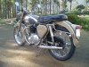 picture of 1956 BSA Gold Flash