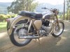 picture of 1956 BSA Gold Flash