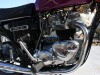 1975-triumph-tr7rv-tiger-image