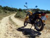 picture of 1972 Ducati Scrambler