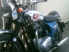 Picture of 1966 BSA A65 Thunderbolt