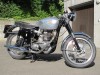 Picture of 1960 BSA Goldstar DBD34