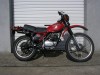 Picture of 1981 Honda XL250