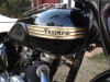 picture of 1953 Triumph Thunderbird 6T