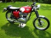 1966 BSA A65 Spitfire Mk2 Image 1
