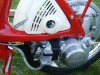 1967 Honda P50