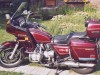 1981 Honda GL1100