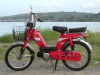 1981 Honda P50
