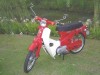 Honda C50