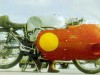 1955 Moto Guzzi V8 GP