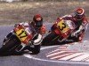 Wayne Rainey