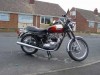 1981 Triumph Bonneville T140E