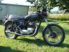 1982 Triumph TSS